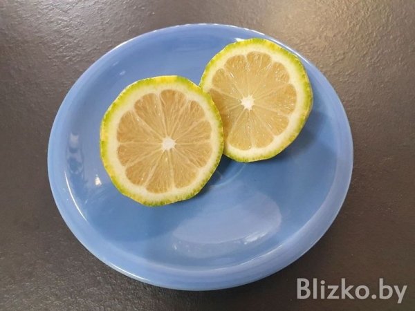 В «Евроопте» появились розовые лимоны