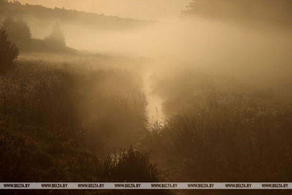 Осеннее утро в Беловежской пуще