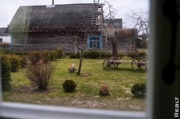 Две веранды и пять печей. Семья отремонтировала родительский дом в Брестской области и превратила его в уютную усадьбу Две веранды и пять печей. Семья отремонтировала родительский дом в Брестской области и превратила его в уютную усадьбу