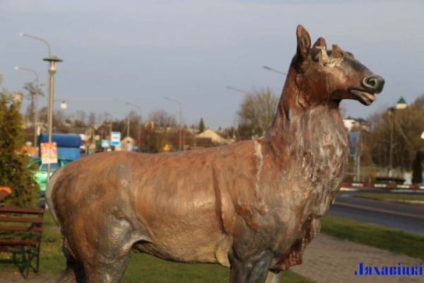 В Ляховичах пьяная компания обломала рога у инсталляции оленя В Ляховичах пьяная компания обломала рога у инсталляции оленя