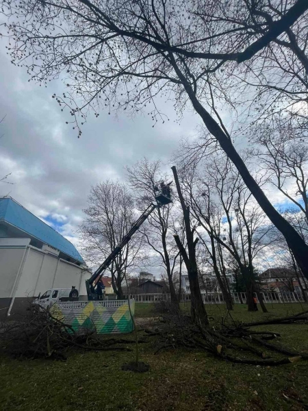 Продолжаются интенсивные работы по подготовке городского Парка культуры и отдыха к началу сезона Продолжаются интенсивные работы по подготовке городского Парка культуры и отдыха к началу сезона