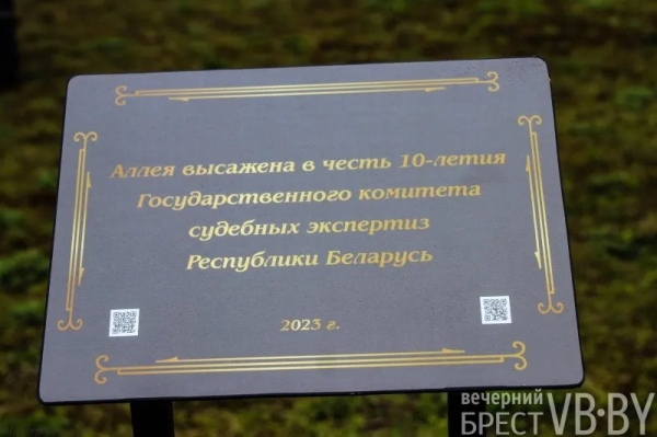 Парк тысячелетия Бреста прирос липами