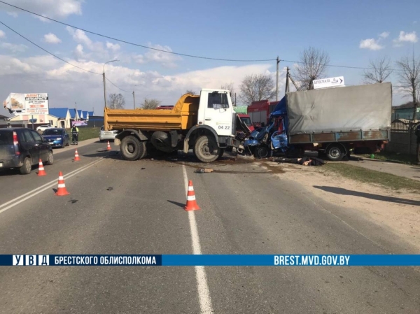 Страшное ДТП произошло в Брестской области. Погиб водитель грузового автомобиля Страшное ДТП произошло в Брестской области. Погиб водитель грузового автомобиля