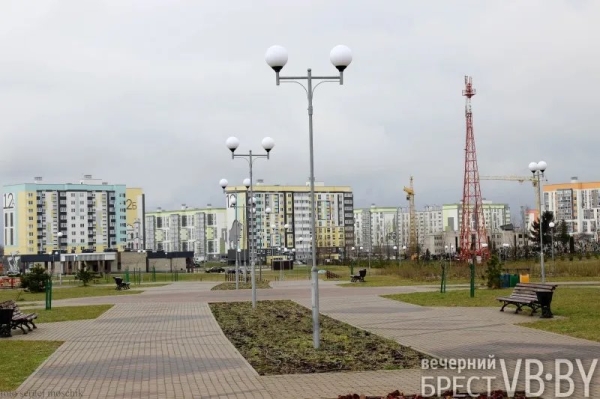 Парк тысячелетия Бреста прирос липами