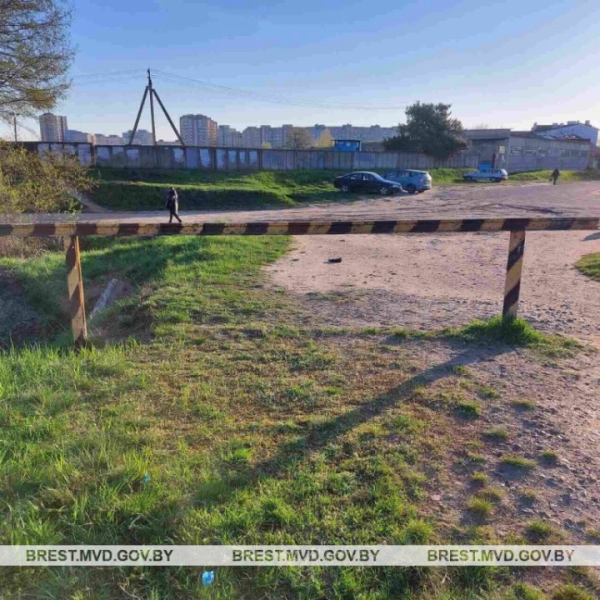 Под поезд в Бресте попала женщина Под поезд в Бресте попала женщина