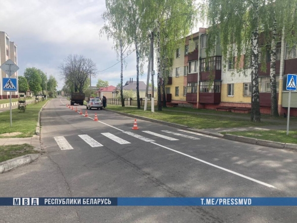 Грузовик насмерть сбил 8-летнюю девочку на Гомельщине