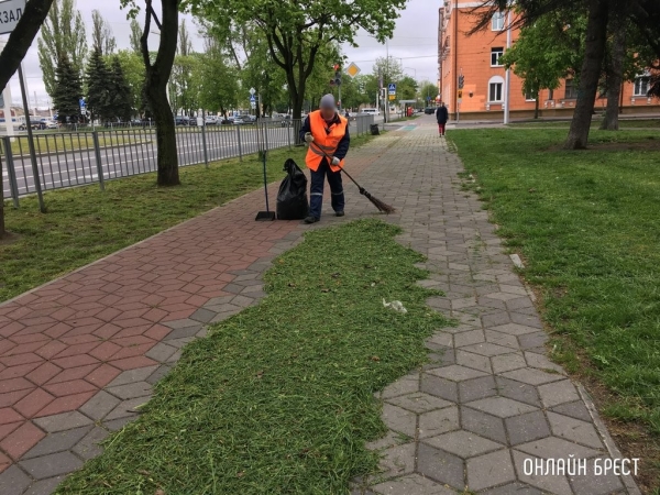 Сколько человек трудятся на благо экономики Беларуси, подсчитали в Белстате