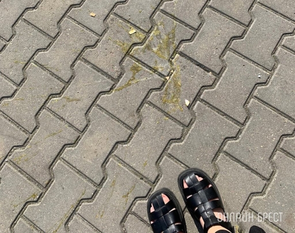 Какое наказание грозит тому, кто выбрасывает в окна все что ни попадя