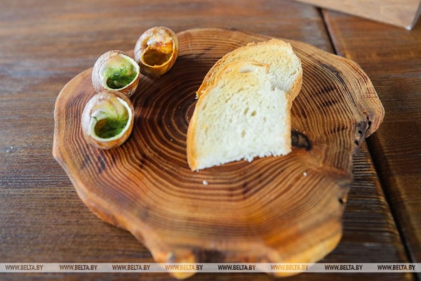 Устроить гонки и попробовать деликатесы предлагают туристам на улиточной ферме в Брестском районе