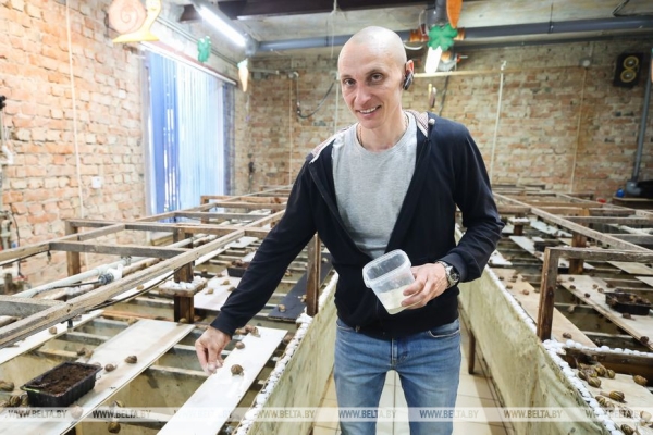 Устроить гонки и попробовать деликатесы предлагают туристам на улиточной ферме в Брестском районе