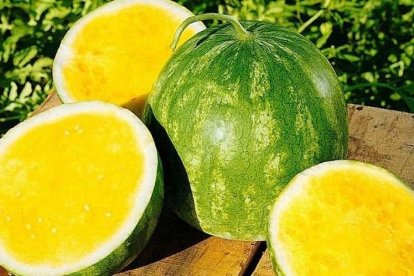 В Беларуси начали продавать желтые арбузы. Они вообще вкусные? А сколько стоят?