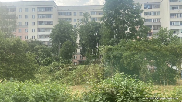 «Сосед разбудил, сказал: выходи». Во дворе дерево рухнуло на Tesla «Сосед разбудил, сказал: выходи». Во дворе дерево рухнуло на Tesla