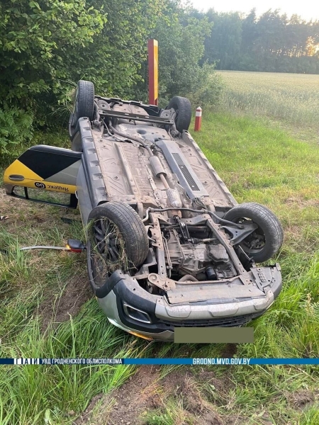 Таксист пытался объехать барсука и вылетел в кювет