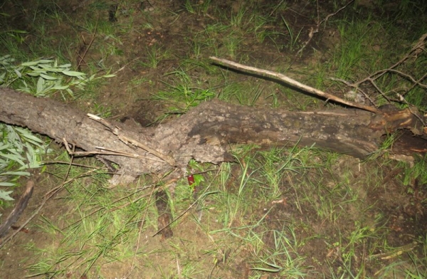 В Мозыре конфликт из-за «клевого места» привел к убийству рыбака В Мозыре конфликт из-за «клевого места» привел к убийству рыбака