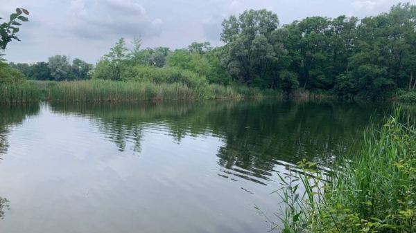 Ударился и потерял сознание. В Бресте на Кирпичных озерах спасли ребенка