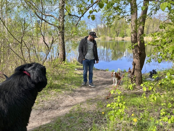 ГИГАНТСКИЕ СОБАКИ. Сколько денег уходит на содержание двух 60-килограммовых собак в панельной трёшке в Бресте?