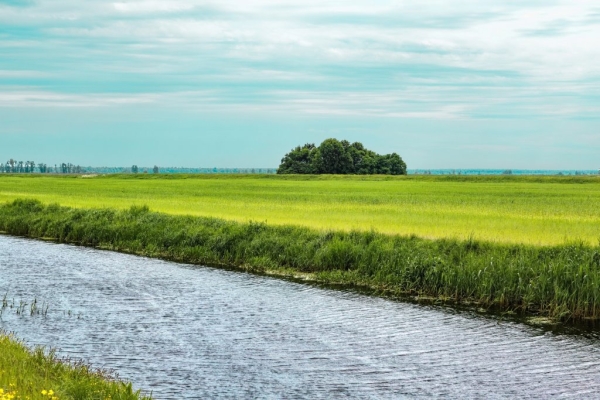 На Пинщине побит 73-летний климатический антирекорд На Пинщине побит 73-летний климатический антирекорд