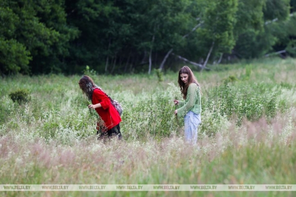 «Хочется больше народных праздников». Шумно и весело отметили Купалье в Беловежской пуще