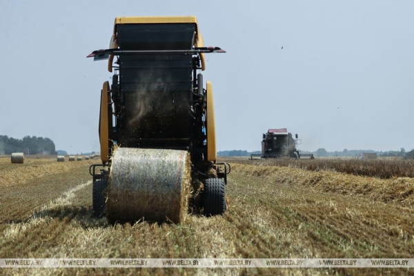 «Стараемся на деле проявлять заботу о людях», или Как в Кобринском районе начали жатву «Стараемся на деле проявлять заботу о людях», или Как в Кобринском районе начали жатву