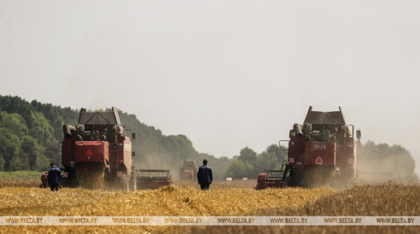 «Стараемся на деле проявлять заботу о людях», или Как в Кобринском районе начали жатву «Стараемся на деле проявлять заботу о людях», или Как в Кобринском районе начали жатву