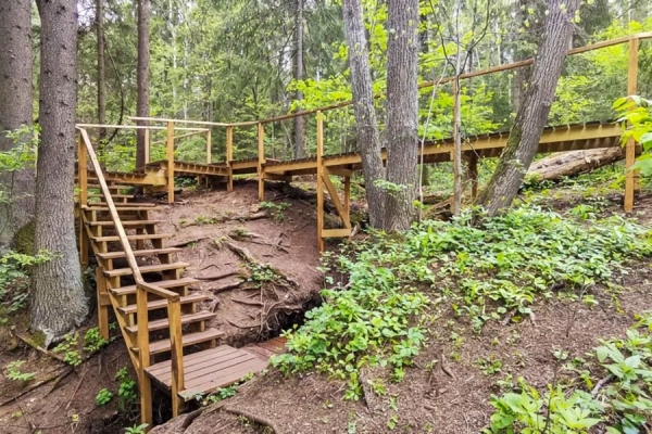 Созданные природой: топ-10 святых криниц Беларуси