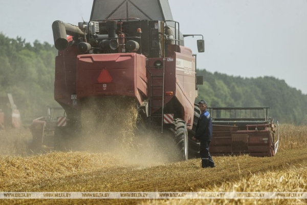 «Стараемся на деле проявлять заботу о людях», или Как в Кобринском районе начали жатву «Стараемся на деле проявлять заботу о людях», или Как в Кобринском районе начали жатву