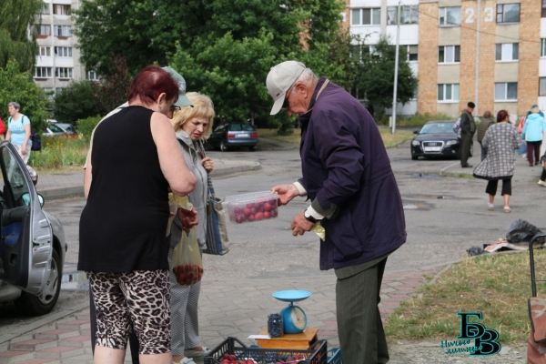 В Бресте прошёл рейд по местам несанкционированной торговли урожаем, выращенным на приусадебных участках В Бресте прошёл рейд по местам несанкционированной торговли урожаем, выращенным на приусадебных участках