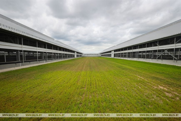 Высокотехнологичный молочно-товарный комплекс на 1 тыс. голов открыли в Пружанском районе Высокотехнологичный молочно-товарный комплекс на 1 тыс. голов открыли в Пружанском районе