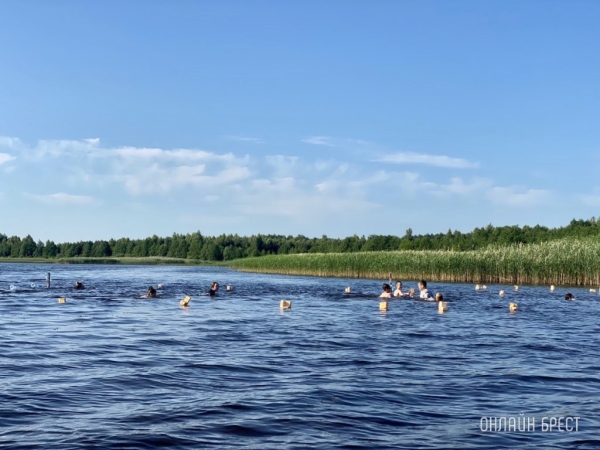 Об ограничении и запрете купания детей и взрослых в водоемах Брестского района