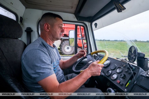 В Столинском районе идет уборка зеленого горошка В Столинском районе идет уборка зеленого горошка