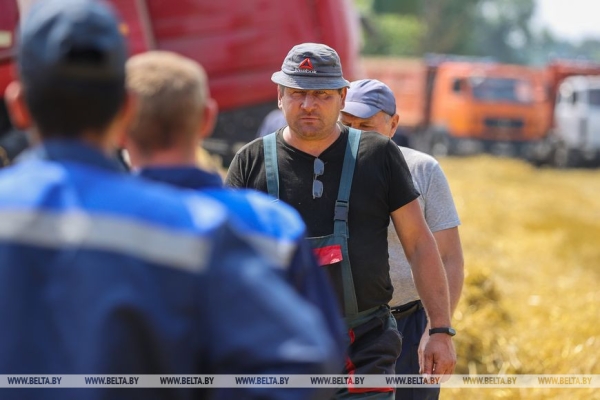 «Стараемся на деле проявлять заботу о людях», или Как в Кобринском районе начали жатву «Стараемся на деле проявлять заботу о людях», или Как в Кобринском районе начали жатву