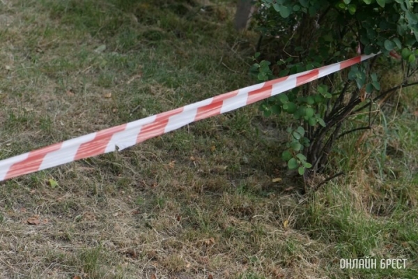 В Бресте горел сарай, а на озере в Столинском районе утонул пенсионер В Бресте горел сарай, а на озере в Столинском районе утонул пенсионер