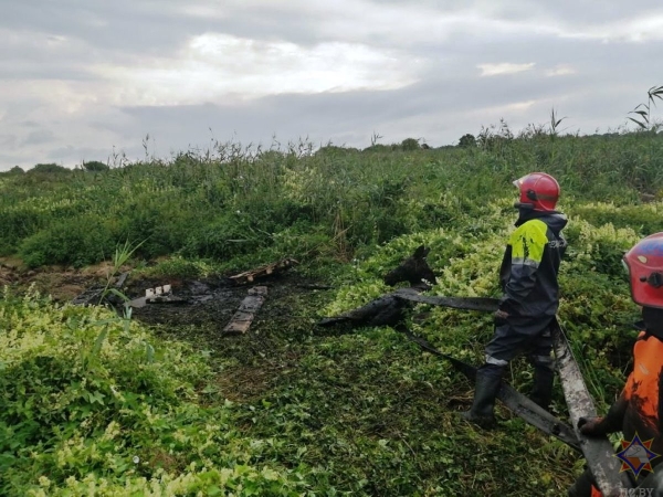 В Брестской области лось увяз в болотистой местности В Брестской области лось увяз в болотистой местности