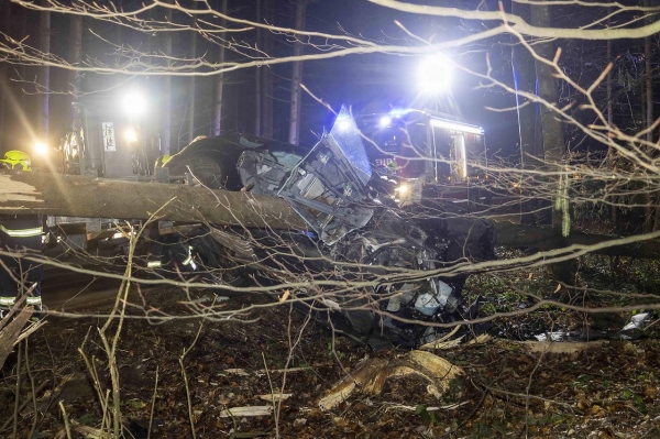 Австрийка чудом выжила за рулем компактвэна, который воткнулся в огромную ель