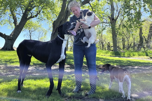 Умер самый крупный пес в мире. Он установил рекорд всего за несколько дней до смерти