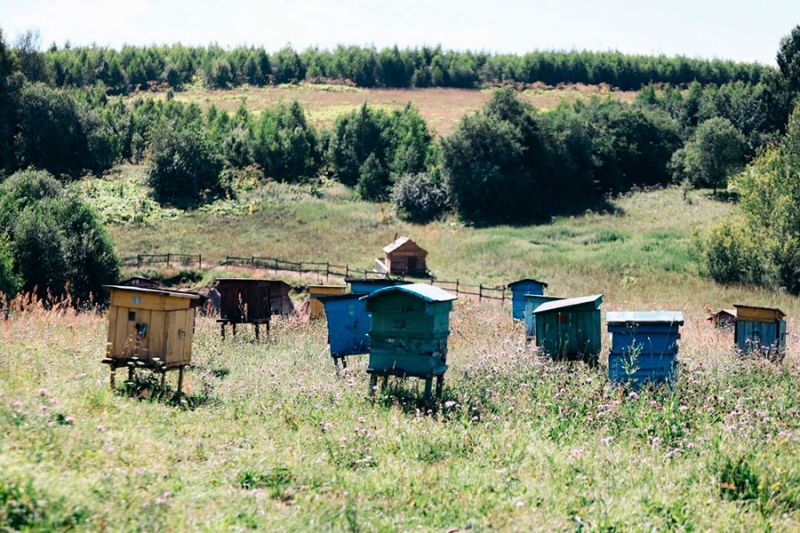 Показали первые фото со съемок фильма по мотивам «Простоквашино» Показали первые фото со съемок фильма по мотивам «Простоквашино»